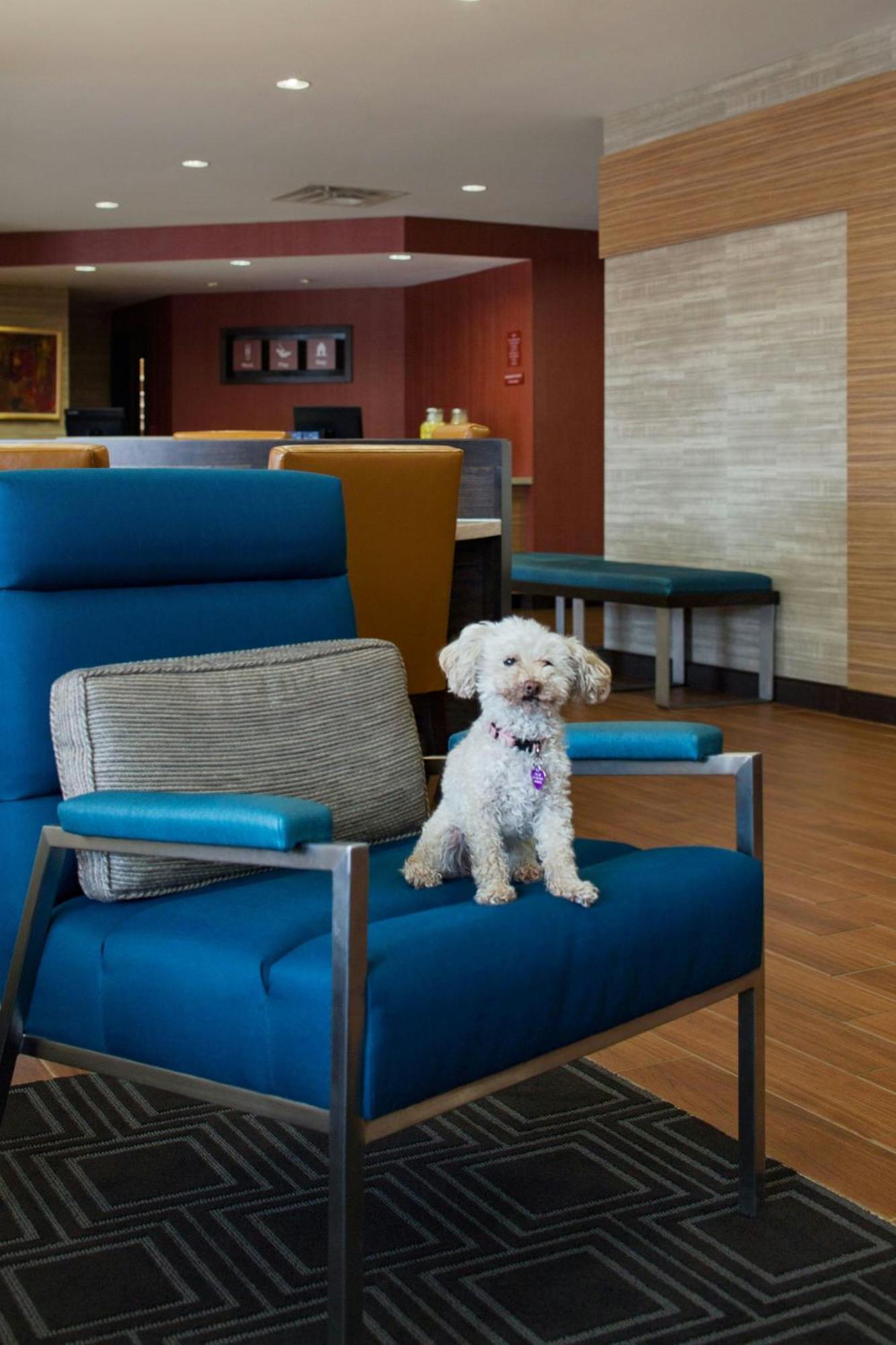 Towneplace Suites By Marriott Austin Round Rock Exteriér fotografie